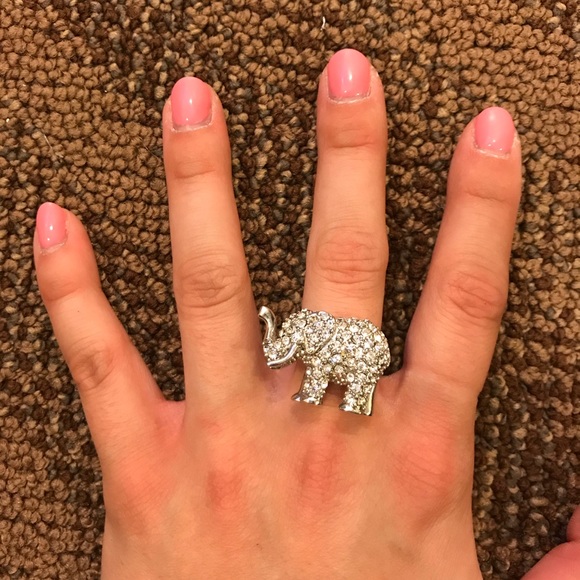 Elephant ring - Picture 2 of 4